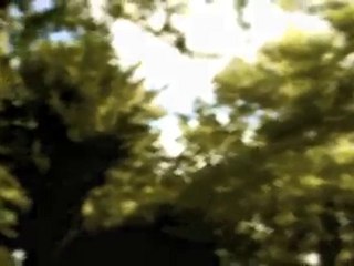 Laurent Cachard - "La partie de cache-cache" (roman)