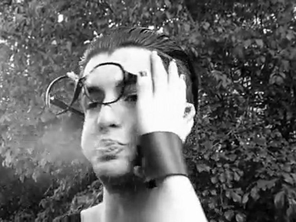 The fuccflokks - deftigehiebe (2010)