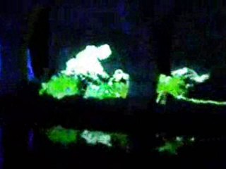 Chartres en lumières 2010