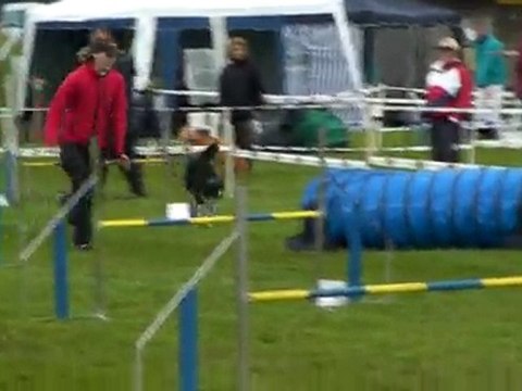 Jumping Dehli - Concours amical 19.06.2010