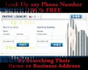 Reverse Lookup for Phone Numbers