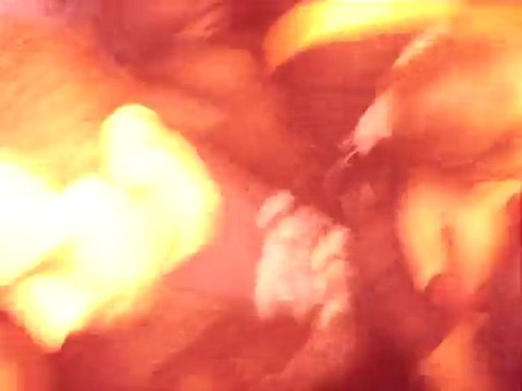 NTM parc des princes 2010