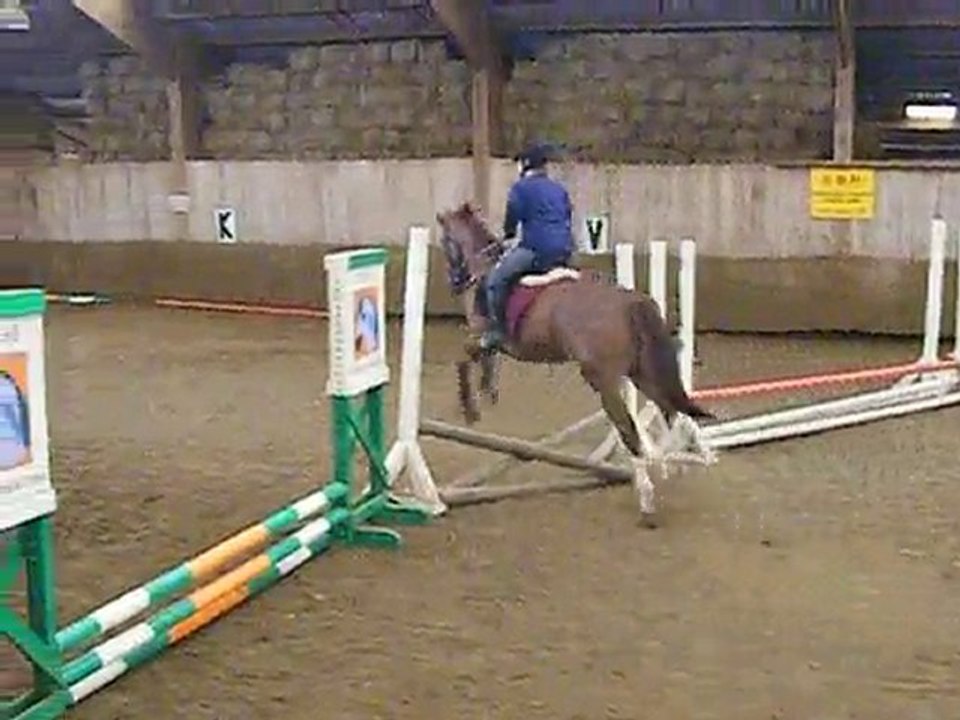 cso 20 juin Anais et Qat : entrainement