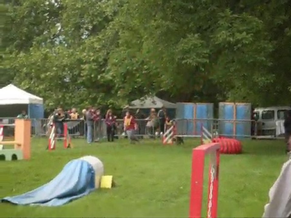 Concours d'agility Chambéry 2010