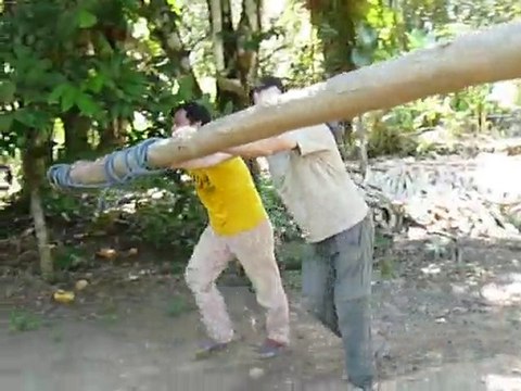 Recolte du jus de sucre de canne, Rurrenabaque, Bolivia.