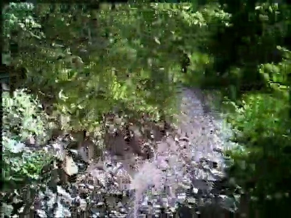 vtt nico