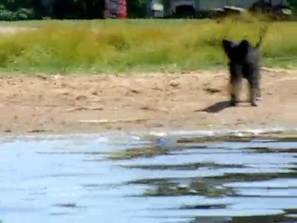 At the Lake again!