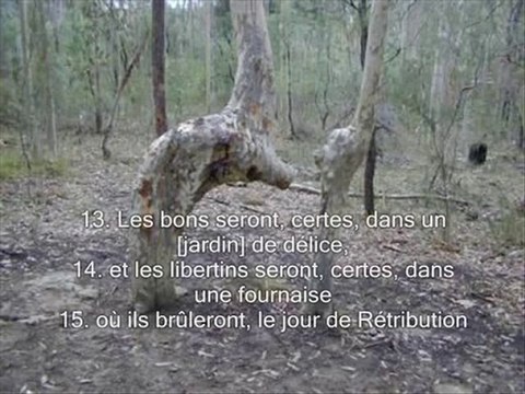 Sourate 82 La rupture (Al Infitar)