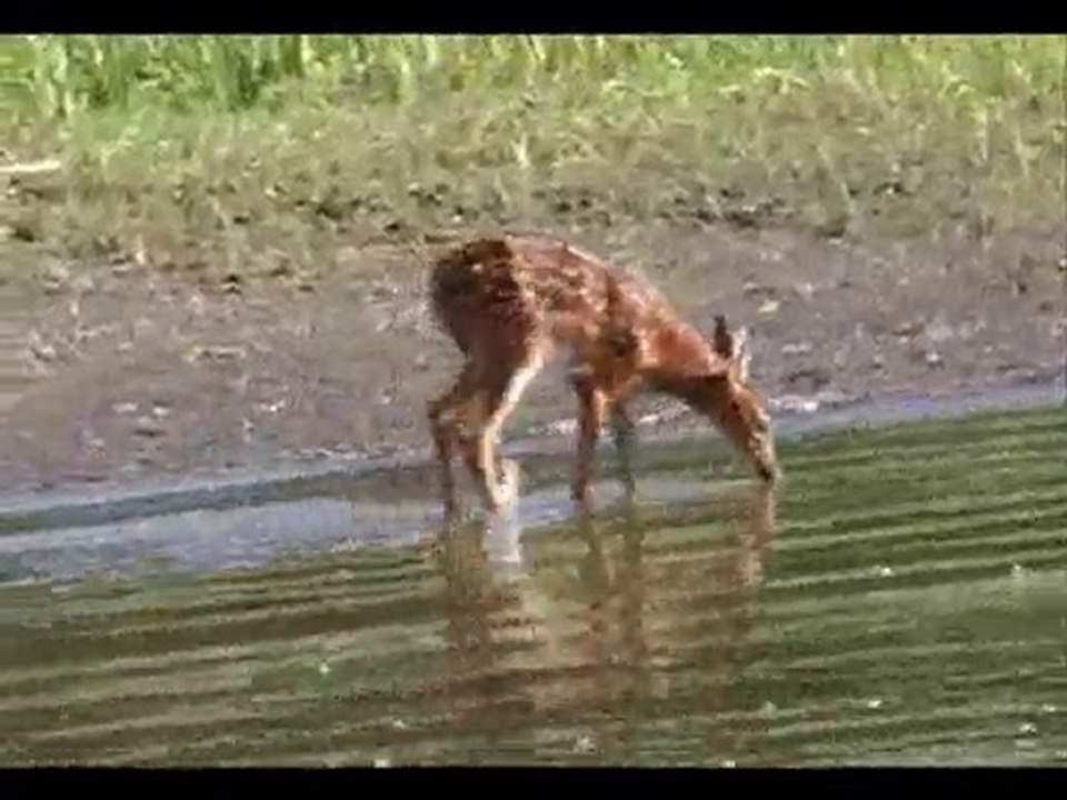 1 mn 20 de plaisir que la nature nous a offert