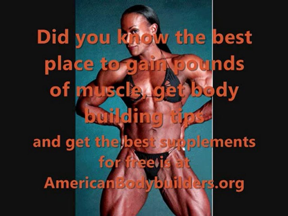 Body Building Workouts