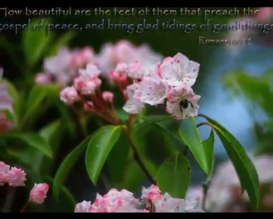 Christian Pictures with Bible Verses