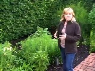 English Herb Garden Design with Senga Lindsay