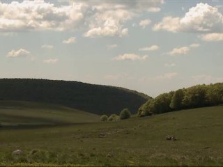 Aubrac, la Transhumance