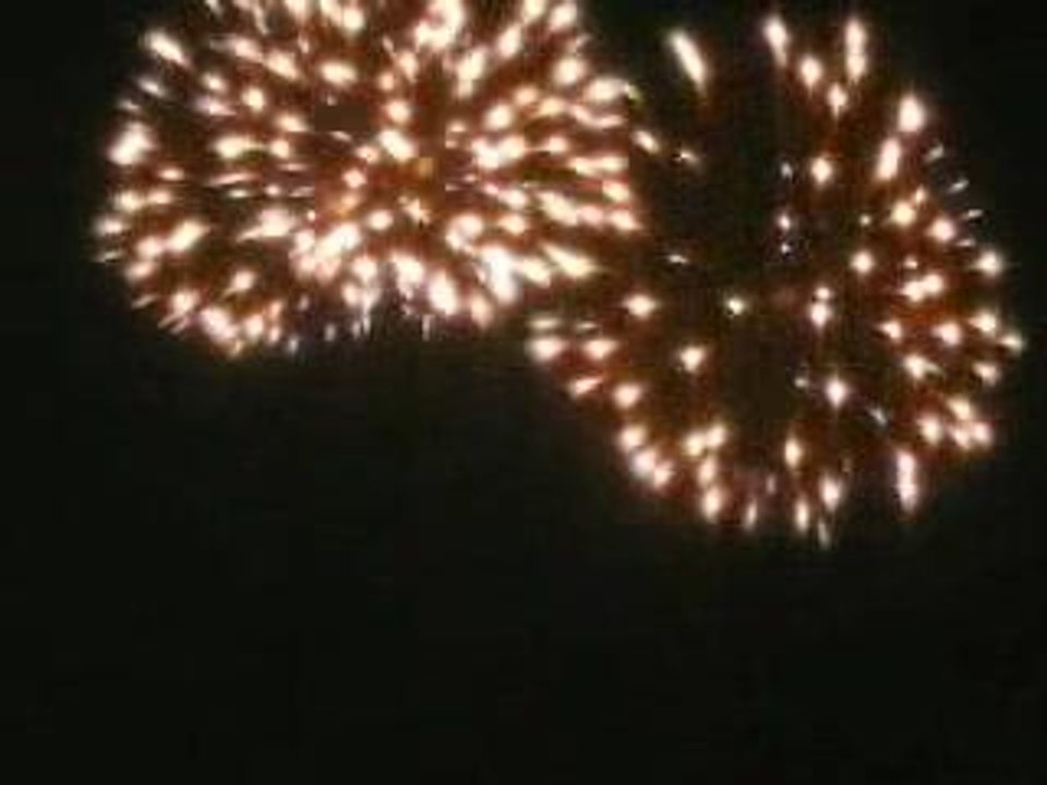 feu d'artifice Ecully