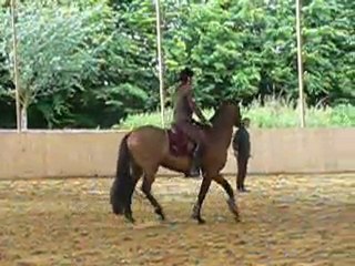 Stage avec José Manuel Correia Lopes