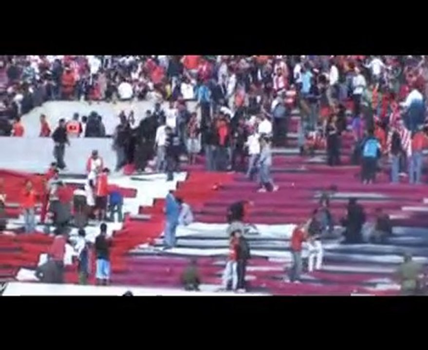 [EXTRAIT DVD Winners Royal Flush - Tifo Wydad Al Oumma ]