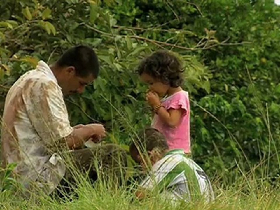 Senseo Nature's Selection