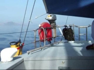 Les Balades et Croisières de La Danaé 7