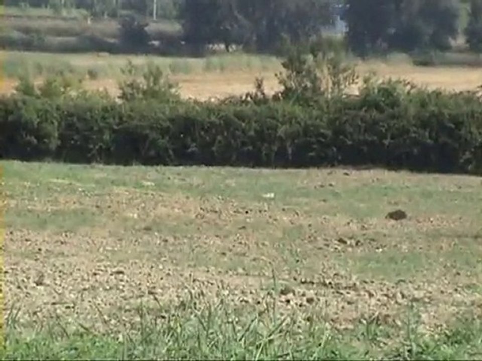 AIRGUN SHOOTING  ON DISTANCE 200 METERS (218 yards)