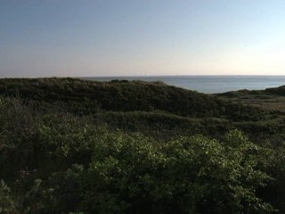 Vues sur le parc Horns Rev I depuis Blåvandshuk