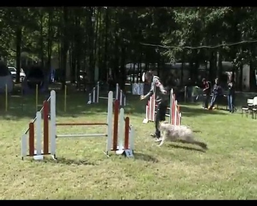 LA RENAUDIERE AGILITY - GPF - WINNETOO - 20 06 10