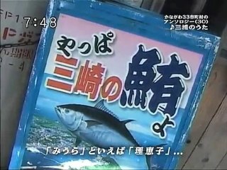 saku2 100622 3 かながわ33市町村のアンソロジー(30)