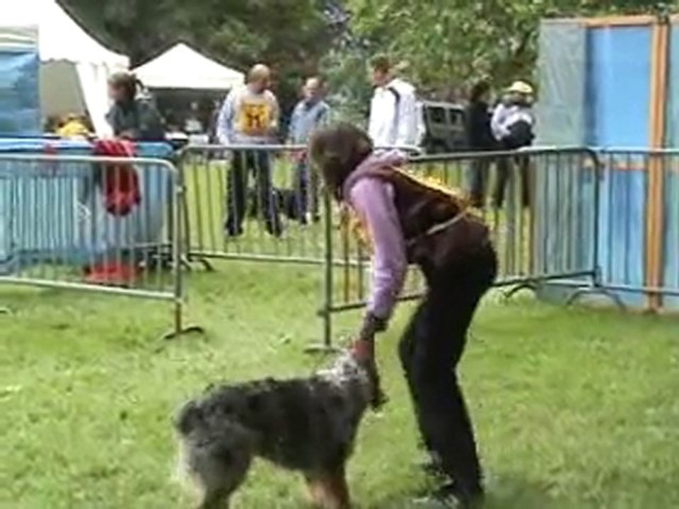 2010_06_30 Chambéry concours agility