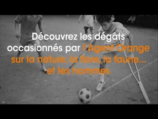 Agent Orange - Apocalypse Viêt Nam