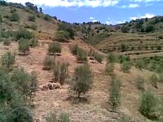 talilitebni oulichek nador rif+
