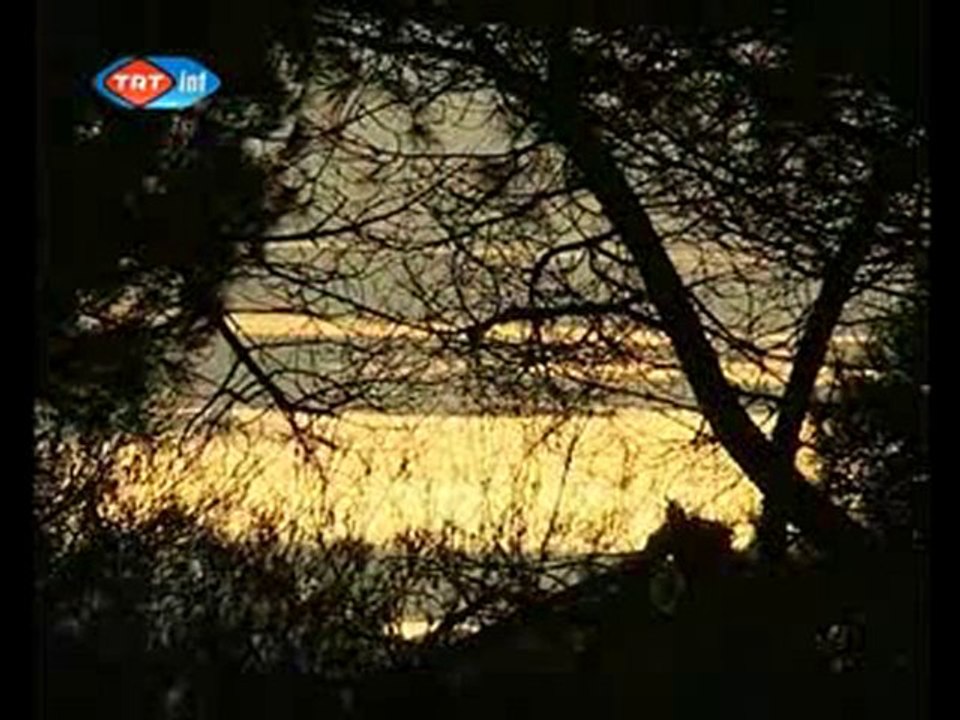 Ali Ekber Çiçek ve Haydar Haydar