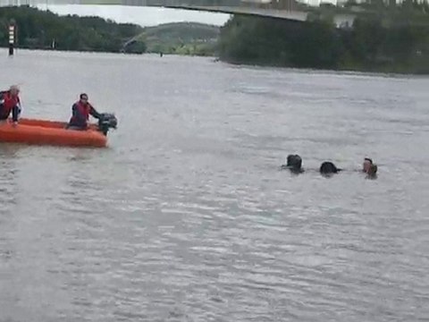 GIVORS 2010 UN TIT PLOUF