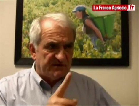 Caves coopératives : l'OCM vins est un marché de dupe