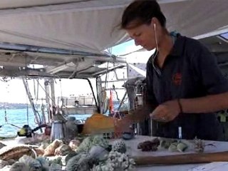 Mdd tv: Tara Océan- Mayotte, un site de recherche privilégié