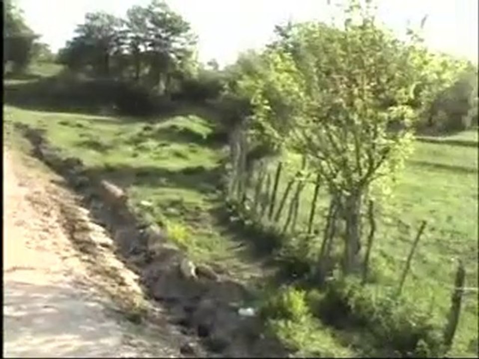 Güzelim sevgilimdir...