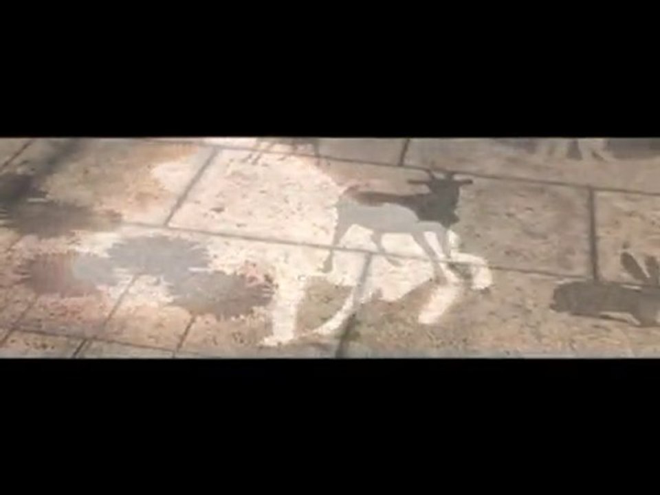 GreenGraffiti Italia per la Commissione Europea