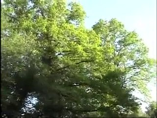 Medeniyetin Kalbinde...