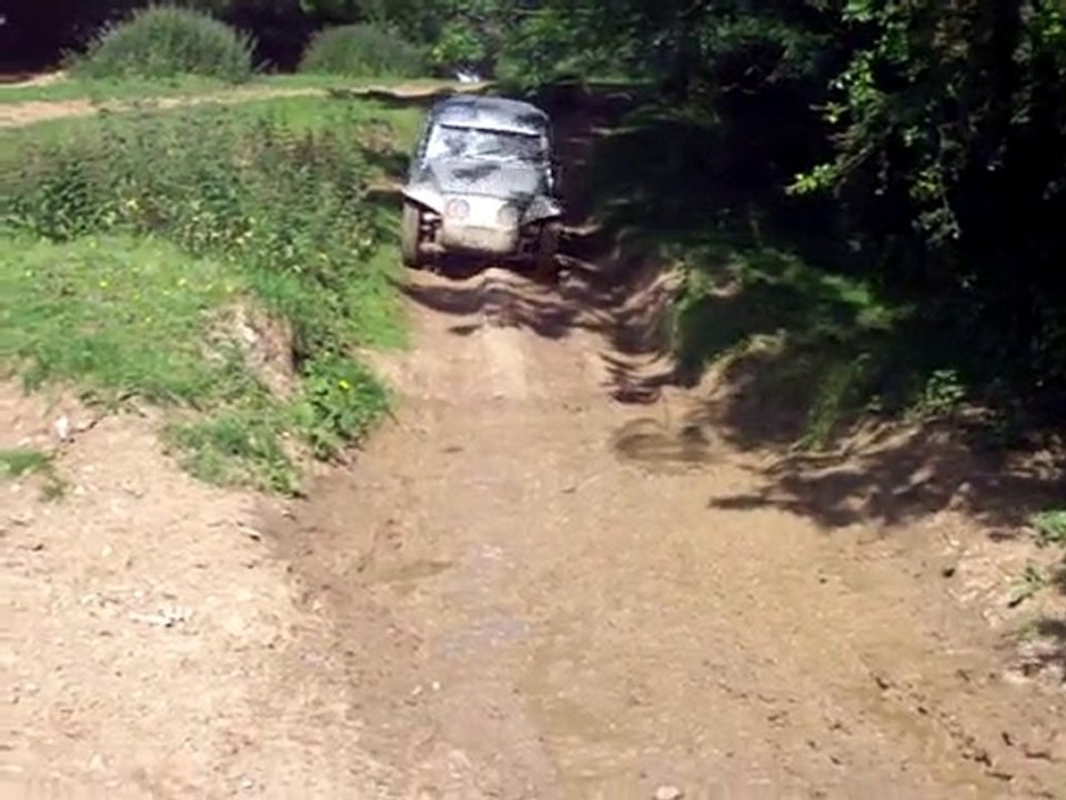 vw cox baja en action