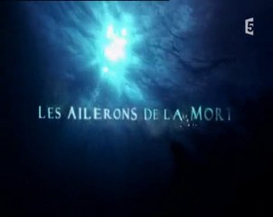 des requins et des hommes ep 2 (1)