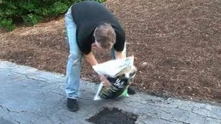 How to Repair and Patch Asphalt