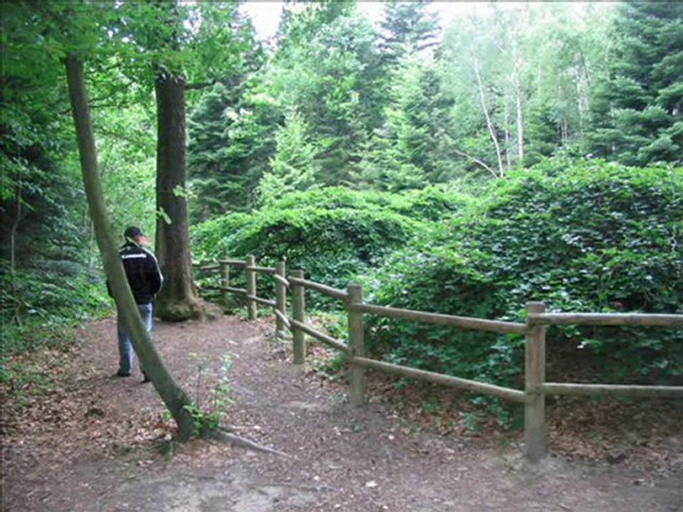 WE dans les Ardennes