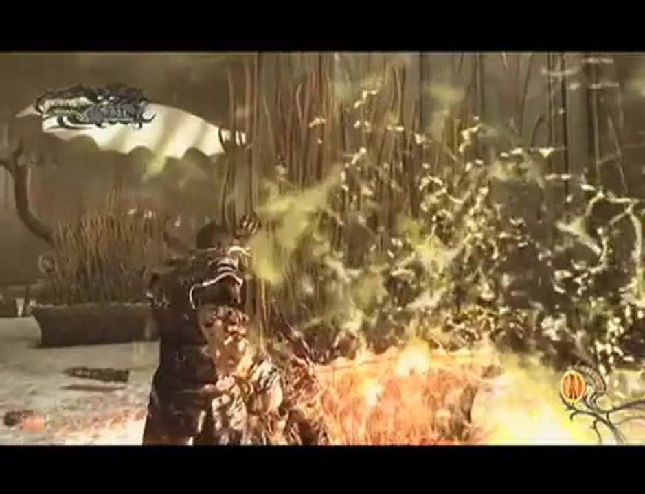 Quantum Theory Interview