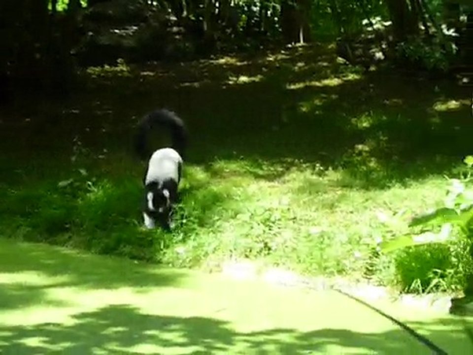 Viens on a des pop corns