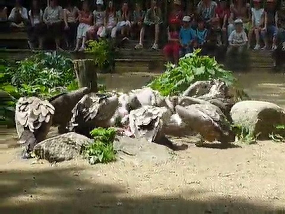 La curée des vautours