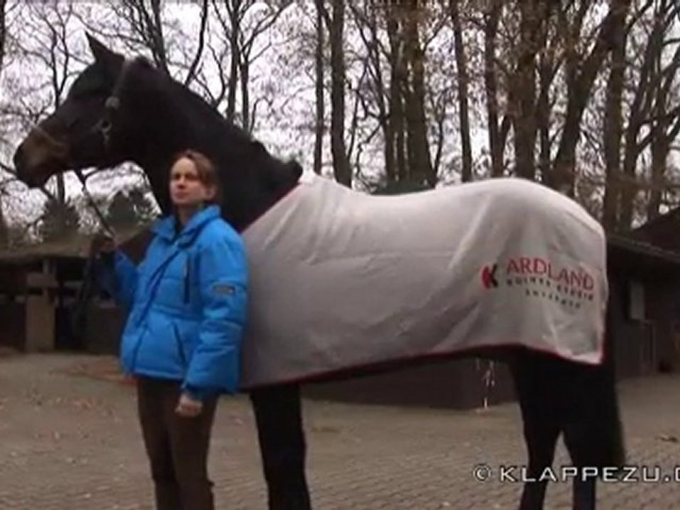 Tierarzt mit neuer Behandlungsmethode