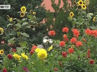 Recommended – Sächsische Schweiz | Discover Germany