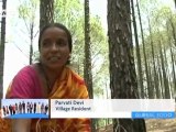 Clean Air in India through Biomass Briquettes | Global 3000