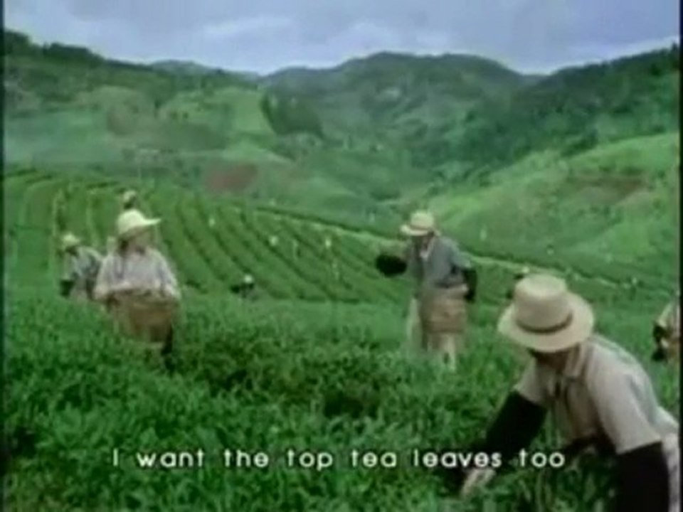 Green Tea Weight Loss | Green Tea  Diet | Herba Greentea