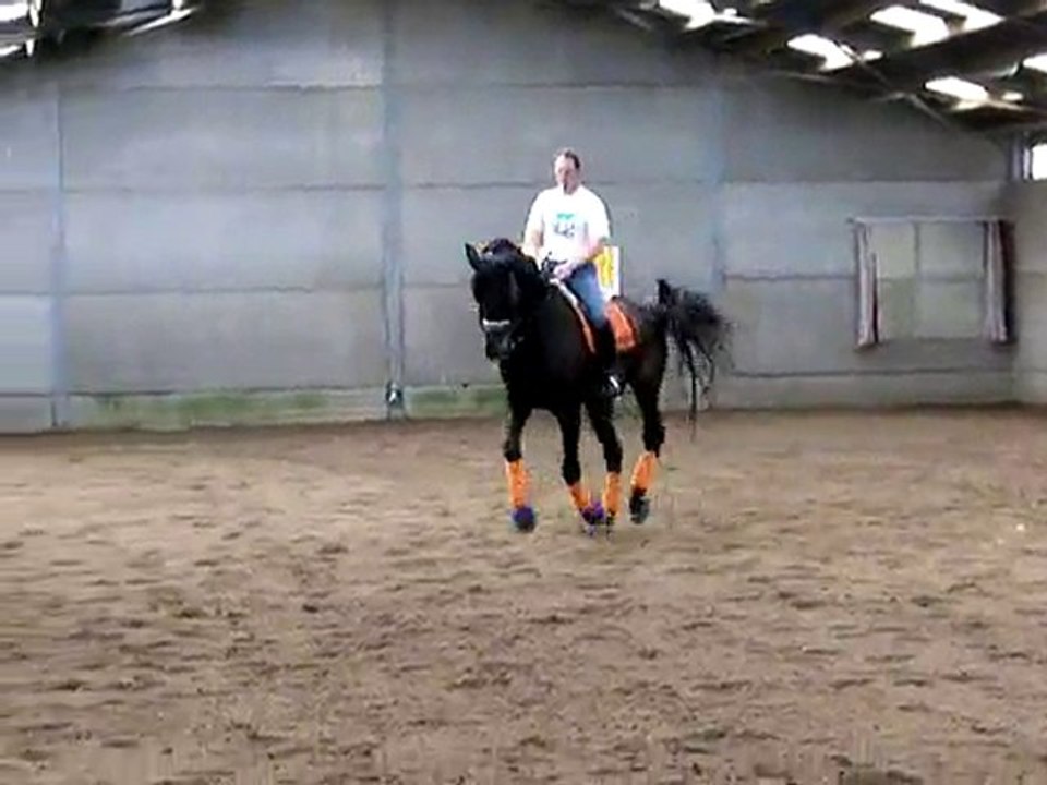 PLR - Patrick LE ROLLAND - Changement de pied - Jan SYMONS 2/3