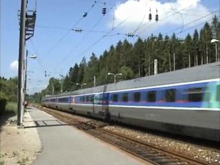 Entre bosse et hirondelles