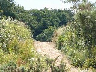 Chez Philippe Juin 2010